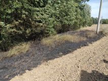Kvůli vichru hasiči tasili motorové pily. Stromy padaly na silnici, železnici i elektrické vedení, hořela tráva a bouralo se