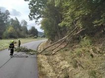 Kvůli vichru hasiči tasili motorové pily. Stromy padaly na silnici, železnici i elektrické vedení, hořela tráva a bouralo se