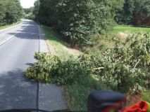 Kvůli vichru hasiči tasili motorové pily. Stromy padaly na silnici, železnici i elektrické vedení, hořela tráva a bouralo se