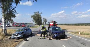 Kvůli vichru hasiči tasili motorové pily. Stromy padaly na silnici, železnici i elektrické vedení, hořela tráva a bouralo se