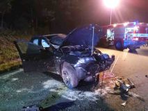 Obrazem: Řidič nezvládl v Gruně řízení, auto bylo zmuchlané jak papír