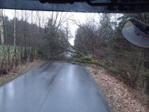 Popadané stromy, utržené střechy, a škody na majetku. Silný vítr dal hasičům v našem kraji zabrat