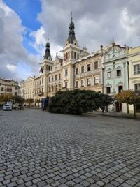 Obrazem: Povídejte se na cestu vánočního stromu na Pernštýnské náměstí