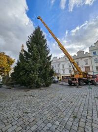 Obrazem: Povídejte se na cestu vánočního stromu na Pernštýnské náměstí