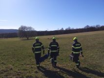 Srnec se zamotal parohy do elektrického ohradníku