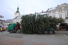 Vánoční strom doputoval do Ústí nad Orlicí. Městu ho daroval soukromý majitel