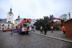 Vánoční strom doputoval do Ústí nad Orlicí. Městu ho daroval soukromý majitel