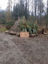 V Jevíčku a v Brandýse nad Orlicí renovují parky, budou sloužit pro relaxaci pacientů i jako léčebné místo