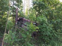 Tři zásahy hasičů v neděli odpoledne: Vzňalo se plně obsazené auto, hořelo v bytě a vůz skončil na boku v porostu