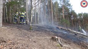Likvidace požáru lesa v prudkém svahu u obce Brdo byla pro hasiče náročná, museli si poradit bez techniky