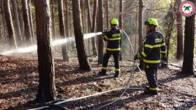 Likvidace požáru lesa v prudkém svahu u obce Brdo byla pro hasiče náročná, museli si poradit bez techniky