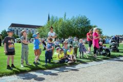 Na krajském dni dobrovolnictví ocenili na čtyřicet dobrovolníků