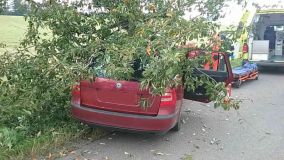 Auto narazilo do stromu. Seděli v něm žena, muž a dítě, všichni skončili v nemocnici. Ženu transportoval vrtulník