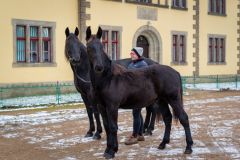 Narodil se o čtyřicet dní dříve, prvnímu hřebečkovi letošního roku ve Slatiňanech se i přesto daří výborně