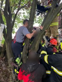 Strom se stal pro malého objevitele pastí, pomohli až hasiči