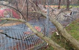 Na dětské hřiště spadla masivní větev ze stromu, poškodila plot