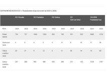 Třicet mrtvých, přes dvanáct stovek zraněných. I tak byl rok 2025 na silnicích lepší než ten předchozí