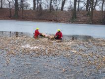 Pes se ocitl v pasti na zamrzlém rybníku, když se pod ním začal led propadat