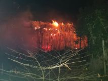 Psy a hospodářská zvířata zachraňovali hasiči při požáru v Dětřichově.  V Běstvině hořela stodola