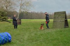 V Trpišově tento týden proti sobě soutěžili policejní psovodi