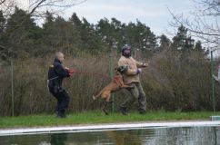 V Trpišově tento týden proti sobě soutěžili policejní psovodi