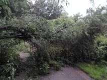 Bouřky se prohnaly Českem, škodily i v Pardubickém kraji