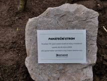 Na dostihovém závodišti v Pardubicích byla vysazena lípa ke 170. výročí