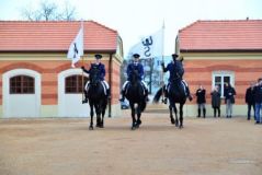 Do Heřmanova městce se po pauze vrací starokladrubští vraníci