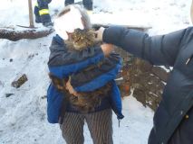 Dva dny kočka nedobrovolně strávila ve trubce od krbu. Dostat ji z ní ven museli hasiči