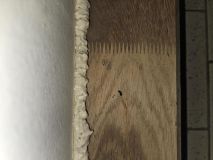 Obrazem: Ve skladu pardubického Kauflandu byla špína a nacházel se tam myší trus i živý hlodavec