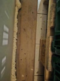 Obrazem: Ve skladu pardubického Kauflandu byla špína a nacházel se tam myší trus i živý hlodavec