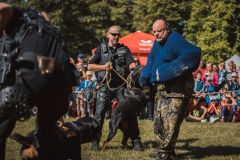 Obrazem: Podívejte se na čtyřnohé pomocníky Městské policie Pardubice v akci