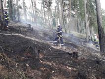 Devět jednotek hasičů spěchalo k požáru skládky, další k lesním požárům a požáru střechy