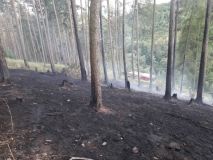 Devět jednotek hasičů spěchalo k požáru skládky, další k lesním požárům a požáru střechy