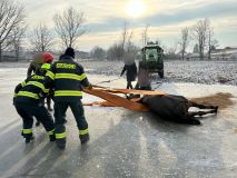 Kůň se smekl ve výběhu na zamrzlé kaluži, zpátky na nohy ho museli postavit hasiči