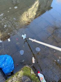 Popelnice naházené do strouhy na Wernerově nábřeží uklidili hasiči