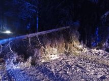 Obrazem: V noci to bylo nejen na silnicích nebezpečné, stromy padaly jako hrušky, jeden z nich uvěznil posádku právě projíždějícího auta
