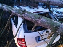 Obrazem: V noci to bylo nejen na silnicích nebezpečné, stromy padaly jako hrušky, jeden z nich uvěznil posádku právě projíždějícího auta