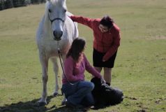 Čin hodný ocenění: Rozsáhlé pátrání po zmateném seniorovi. Našla ho však místní obyvatelka se svojí kobylkou as psem