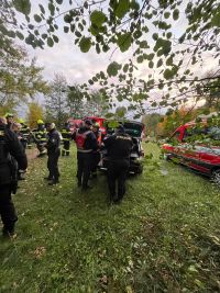 Z odpolední procházky po lese byla několikahodinová pátrací akce 