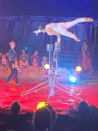 Pojďte do cirkusu, který jste ještě neviděli, vystupují v něm děti pod taktovkou zkušených artistů