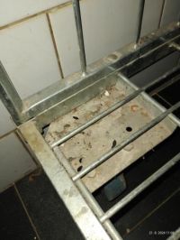 Myší trus a nepořádek v kuchyni v minulém týdnu uzavřel tuto restauraci v Pardubicích