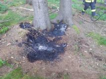 Lidé pálili suché zbytky u pole a způsobili požár, jinde hasiči krotili požár v lese, jenž zřejmě vznítil nedopalek