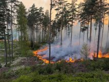 Pět stovek hasičů z několika krajů, včetně Pardubického, bojuje již od soboty s velkým požárem lesa v Národním parku České Švýcarsko