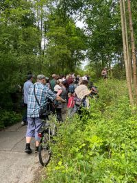 Obrazem: Lidé vyrazili za faunou a flórou na Červeňák v Pardubicích. Ten čeká příští rok revitalizace