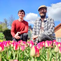 Tulipány kam jen oko dohlédne.  Objevte holandskou krásu v Parku Tulipánie v obci Opatovec