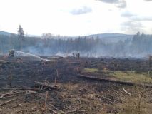 Druhý stupeň požárního poplachu vyhlásili hasiči kvůli ohni v lese na Svitavsku