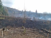 Druhý stupeň požárního poplachu vyhlásili hasiči kvůli ohni v lese na Svitavsku