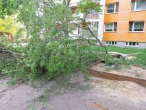 Tragédie na spadnutí. V Polabinách se zřítil strom na dětské hřiště