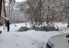 Pozor na padající větve, nemusejí nánosy sněhu vydržet. Strážníci a hasiči je raději v Pardubicích prořezávají